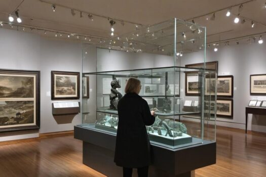 What is a Museum Curator