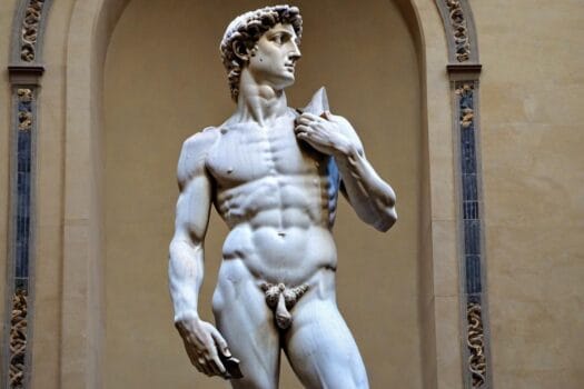 the statue of david in florence