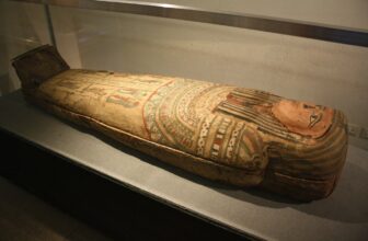 What is the curse of the Egyptian sarcophagus