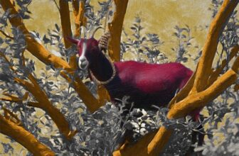 Are There Goats That Climb Trees