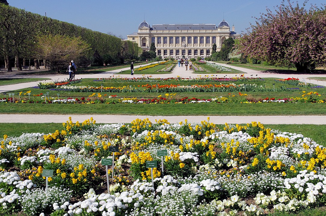 Is the Jardin des Plantes in Paris Worth Visiting Is the Jardin des Plantes in Paris Worth Visiting