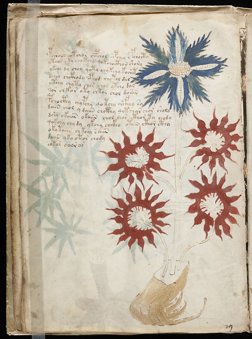 Voynich Manuscript: The Unreadable Mistery Letter Voynich Manuscript: The Unreadable Mistery Letter
