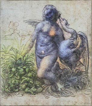 Beauty of Leda and the Swan