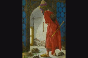 The tortoise trainer