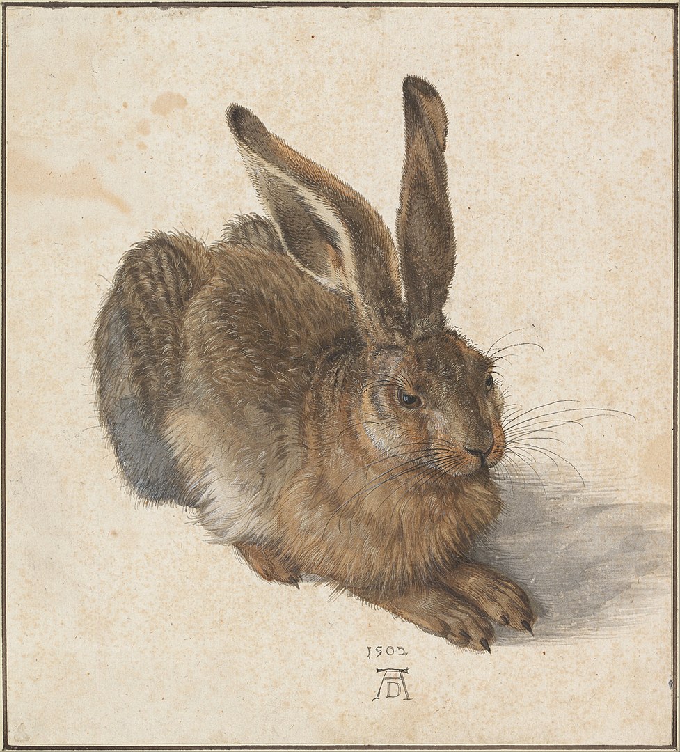 Young Hare Painting: Who Painted Young Hare? Young Hare Painting: Who Painted Young Hare?