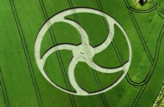 Crop circles mystery