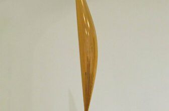 Constantin Brancusi bird in space