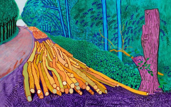 Hockney's most famous art
