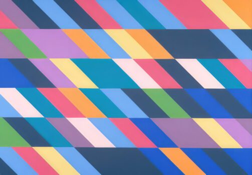 Bridget Riley Shadowplay