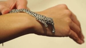 The Duchess of Windsor’s Panther Bracelet