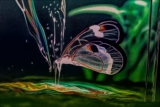 Frozen Butterfly : Rain Forest Butterfly Abstract Painting