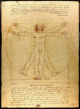 What is the Meaning of the Vitruvian Man