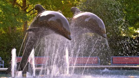 Contemporary Art : Renaissance Baroque Artist And Paintings 6 The Spiritual Meaning of Dolphin Sculpture