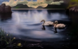 Swans Bird Sightings At Lake Como Painting Story